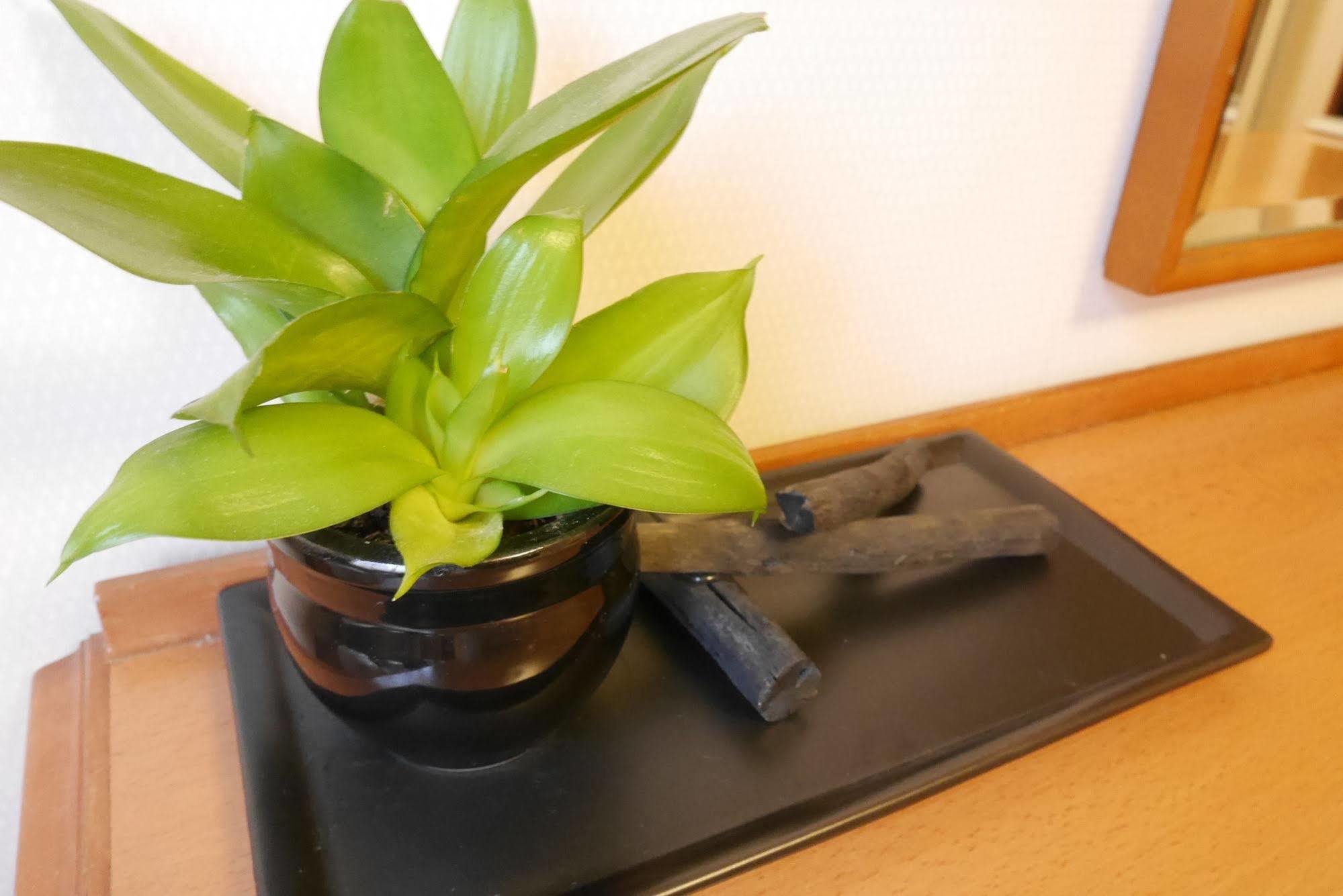 Hotel Yokohama Garden Εξωτερικό φωτογραφία